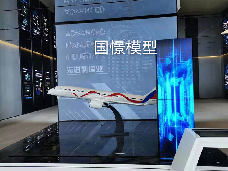 利川市飞机模型