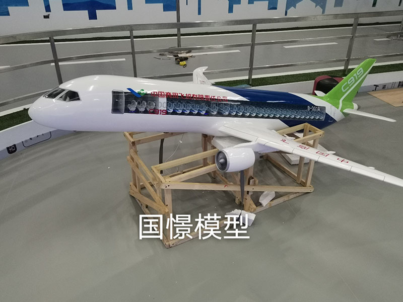 利川市飞机模型