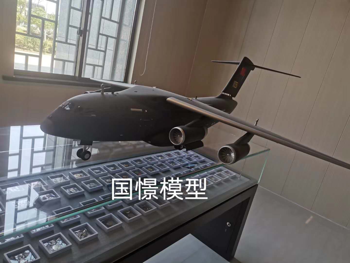 利川市飞机模型