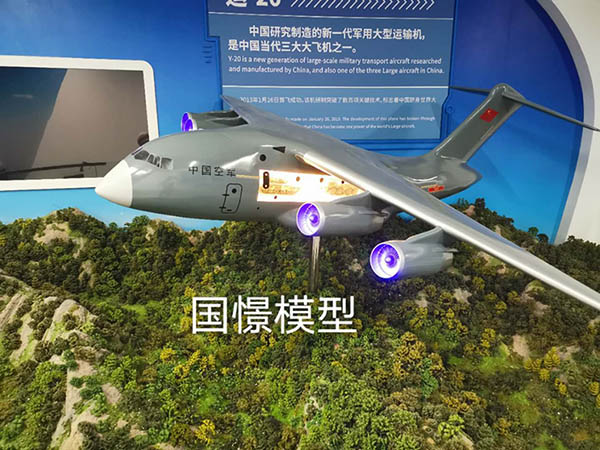 利川市飞机模型