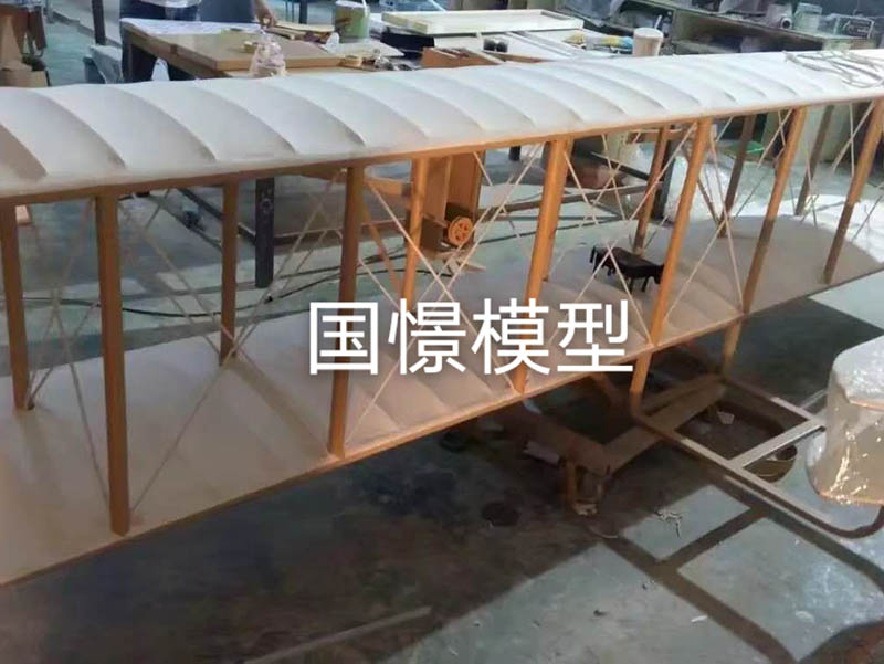 利川市飞机模型