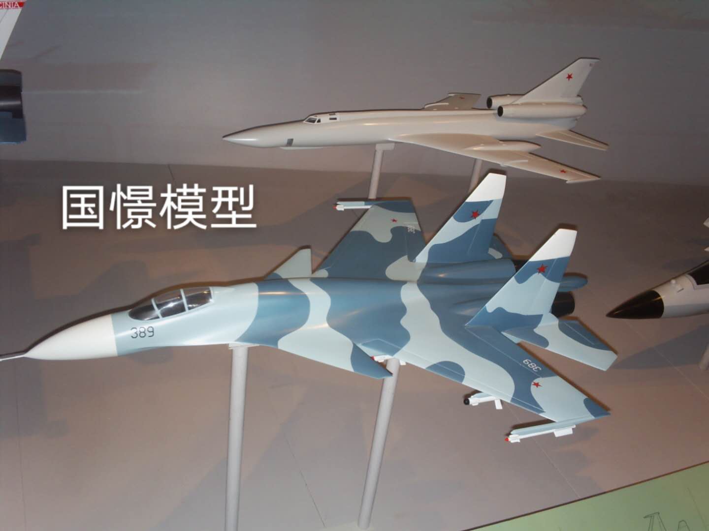 利川市军事模型