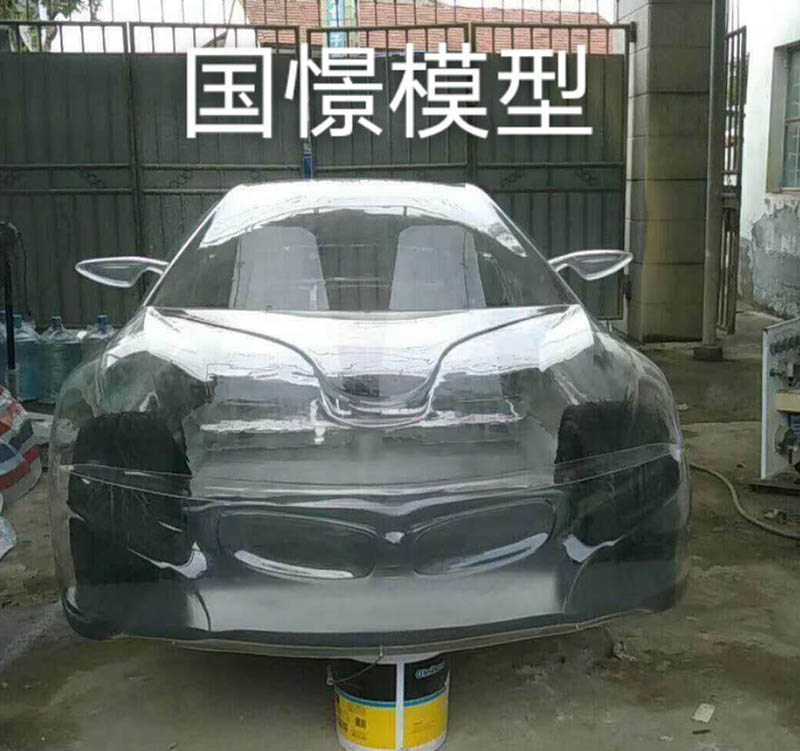 利川市透明车模型